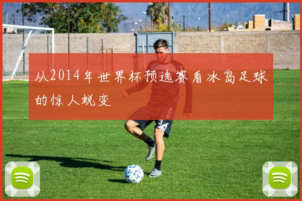 从2014年世界杯预选赛看冰岛足球的惊人蜕变