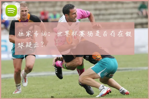独家专访：世界杯赛场是否存在假球疑云？