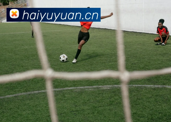 互动解说服务